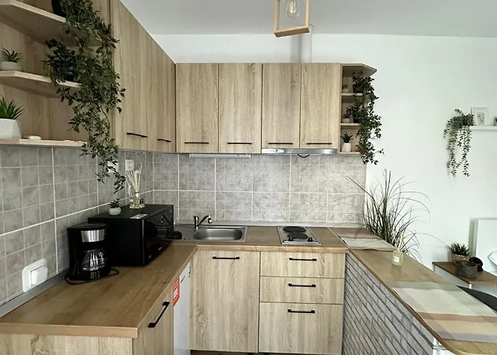 Zen With Free Private Parking * Brasov