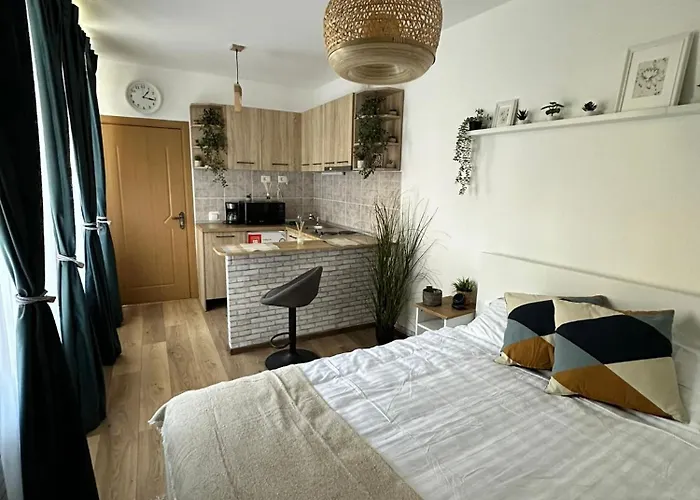 Zen With Free Private Parking Brasov